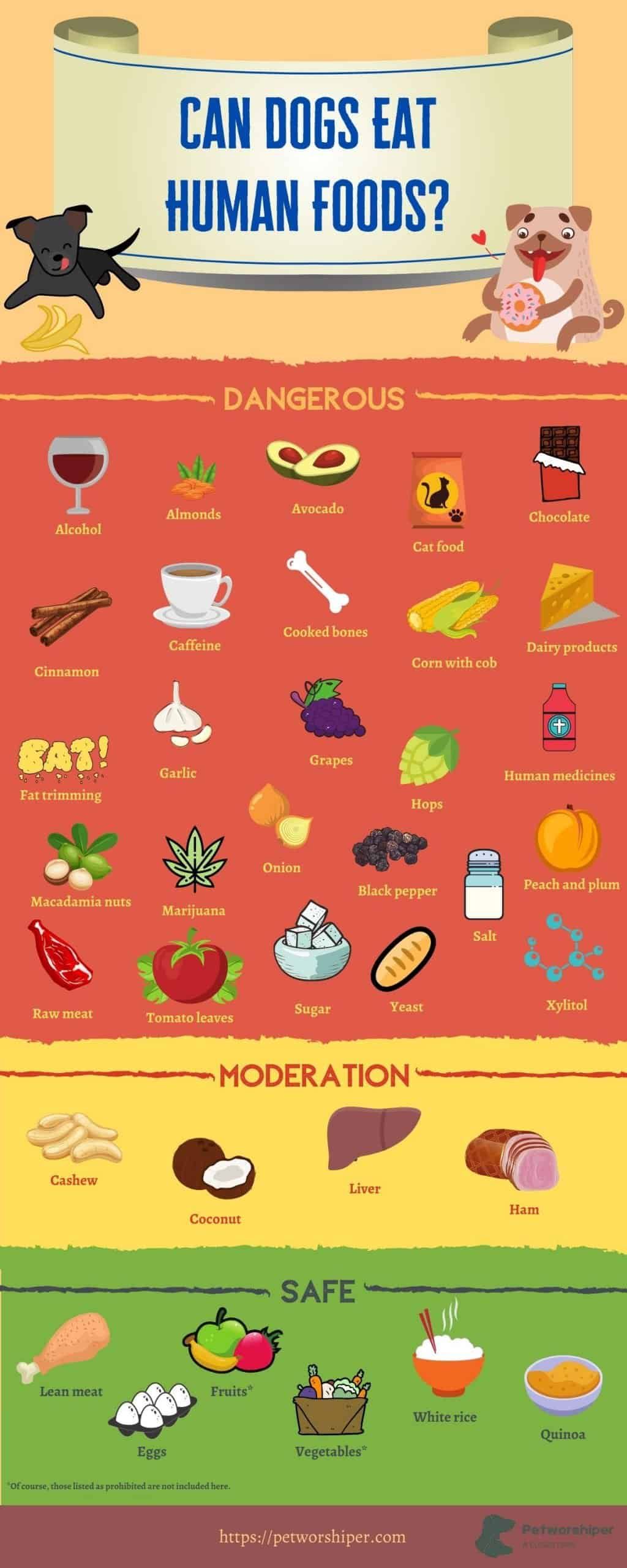 foods dogs can't eat infographic