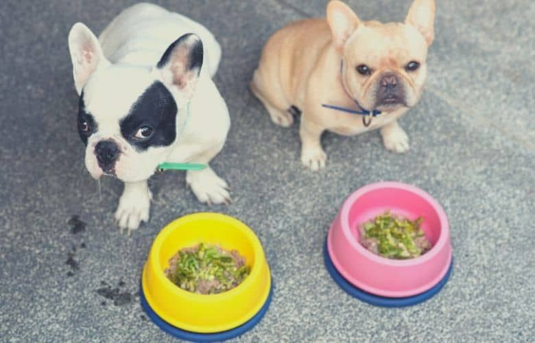 Best dog food for french bulldogs