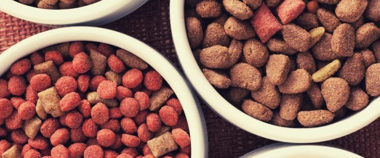best dog food by brands