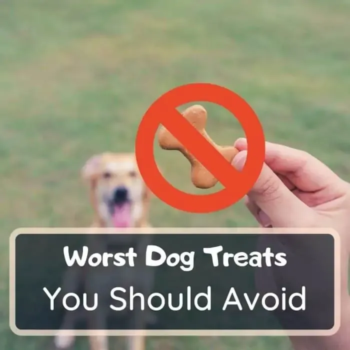 worst dog treats