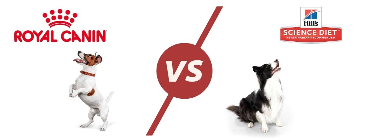 royal canin vs science diet