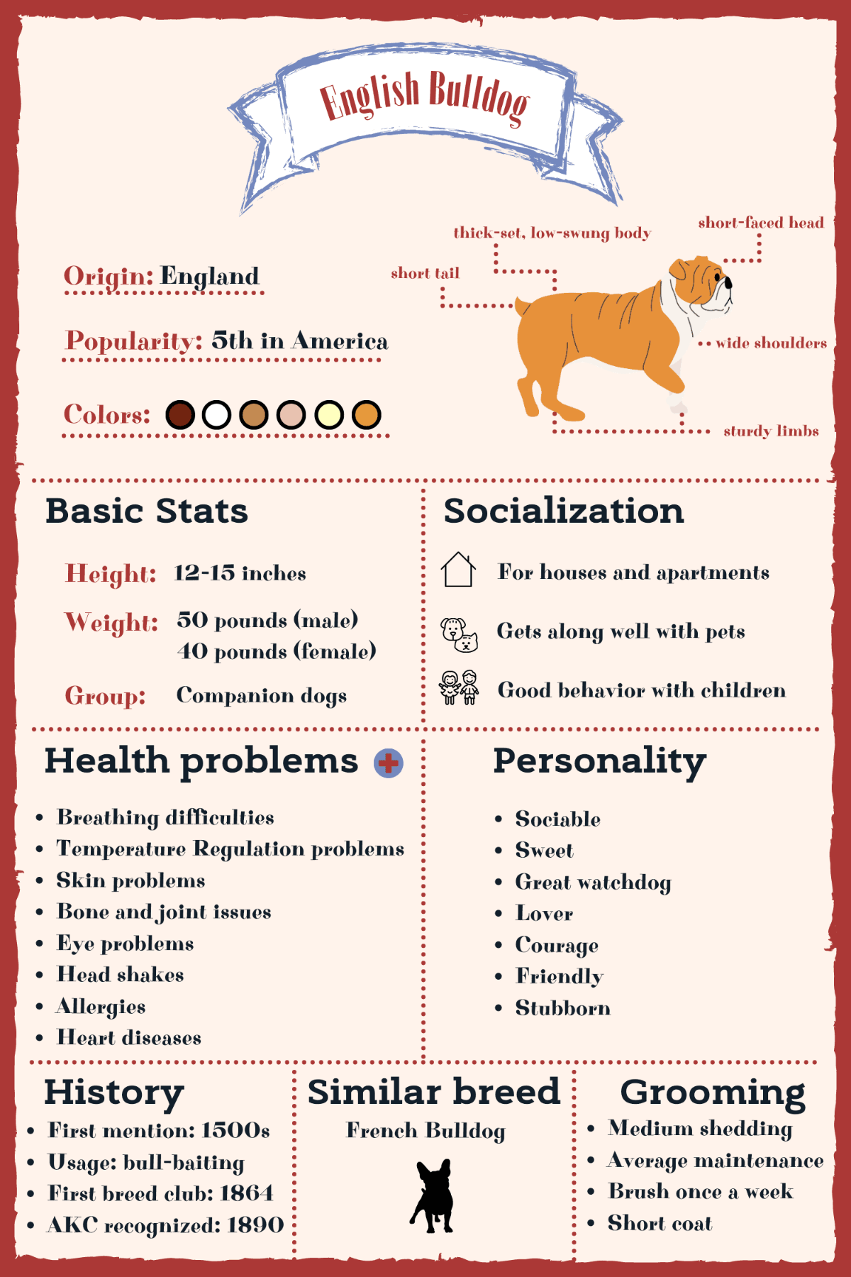 English Bulldog Dog breed