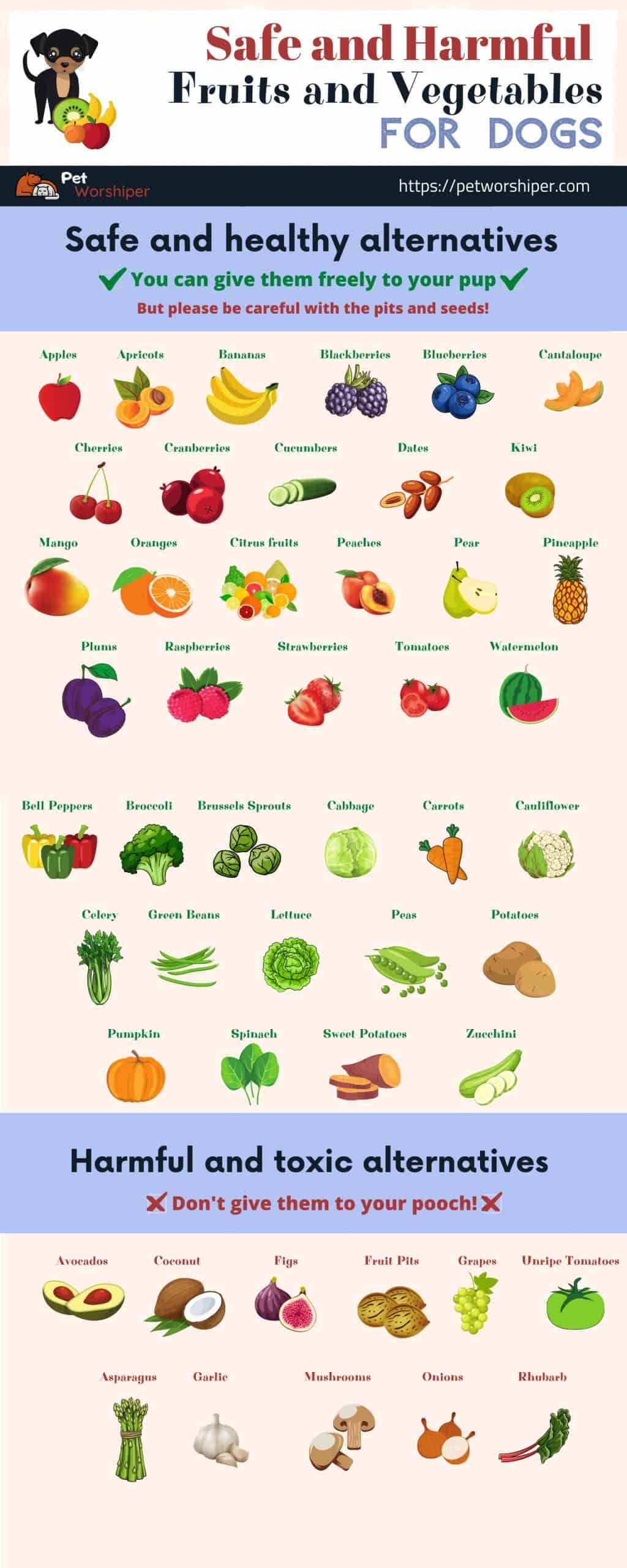 fruits for dogs