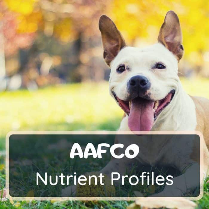 aafco nutrient profiles