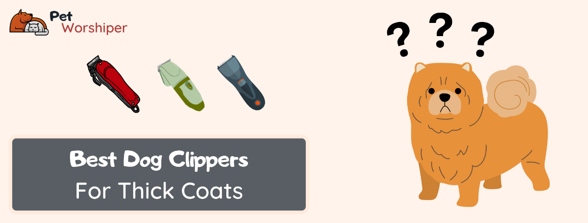 best dog clippers for thick coats