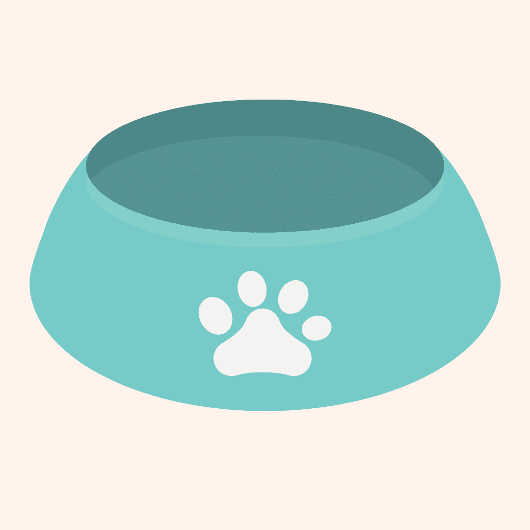 dog bowl