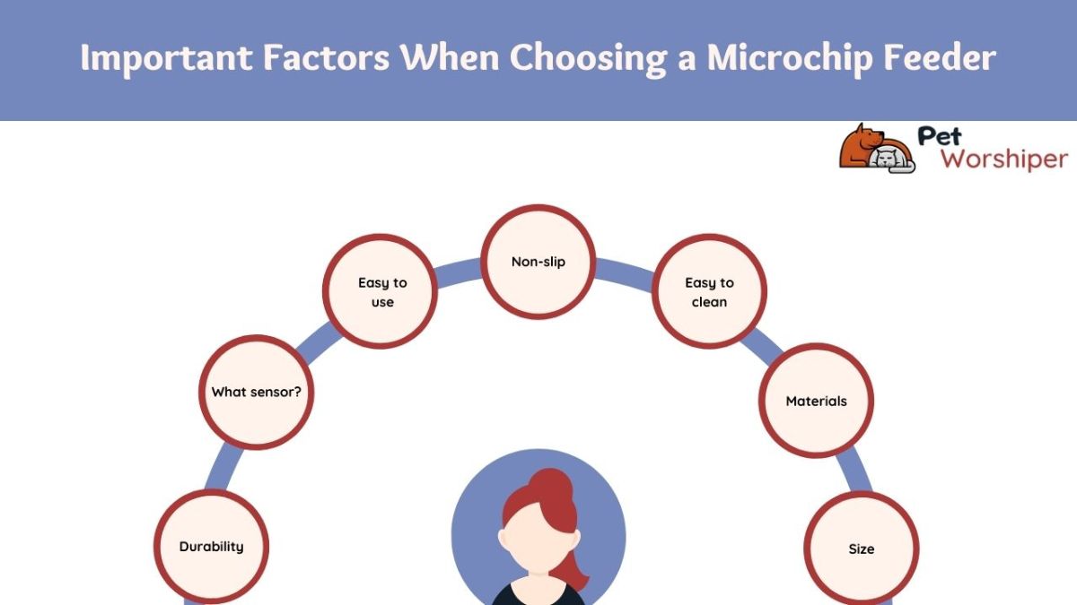 What to consider when choosing a microchip feeder