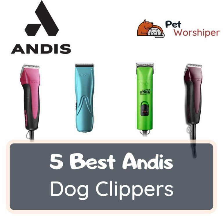 andis dog clippers