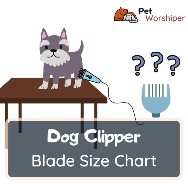 dog clipper blades
