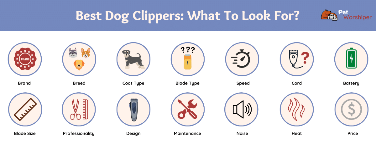 Best dog clippers what to look for