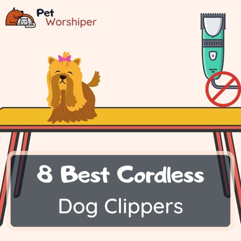 best cordless dog clippers