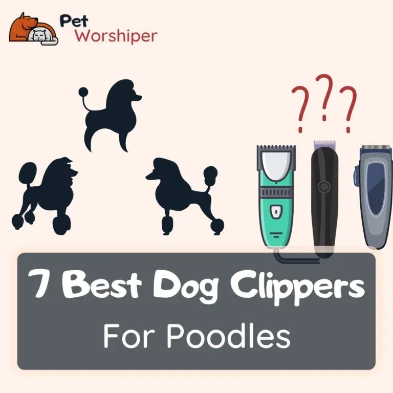best dog clippers for poodles