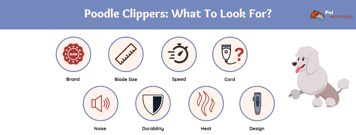 choosing the best poodle clipper
