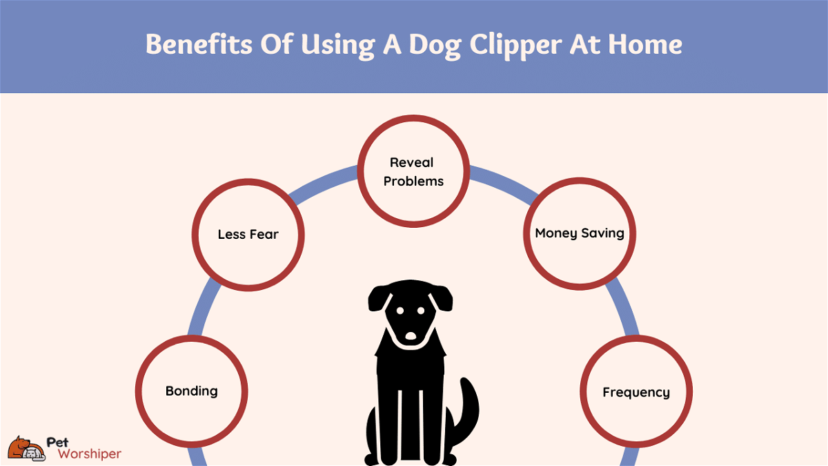 Benefits Of Using A Dog Clipper At Home
