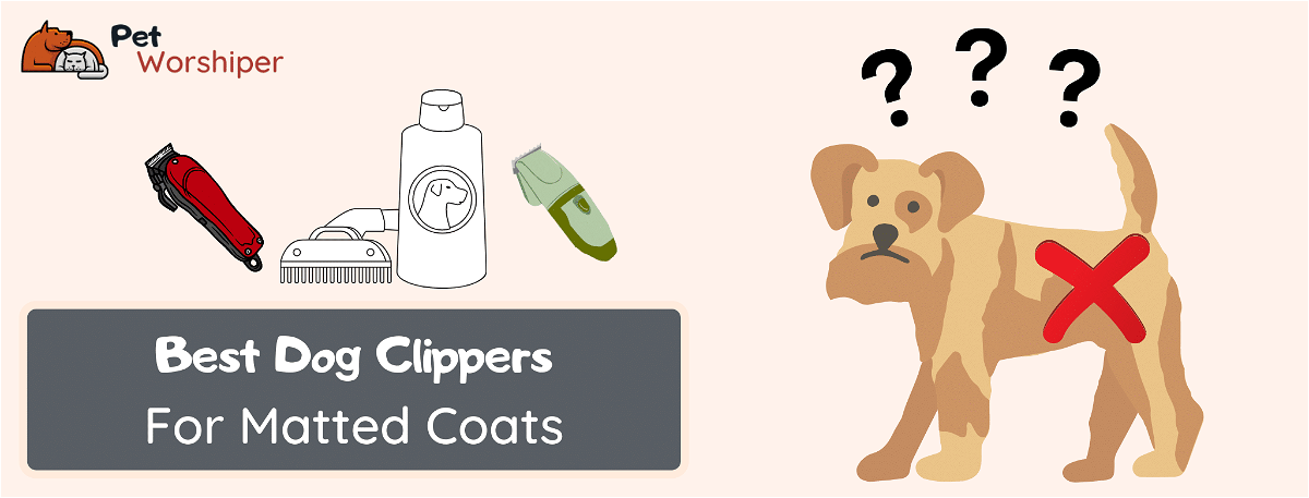 Best dog clippers for matted hair
