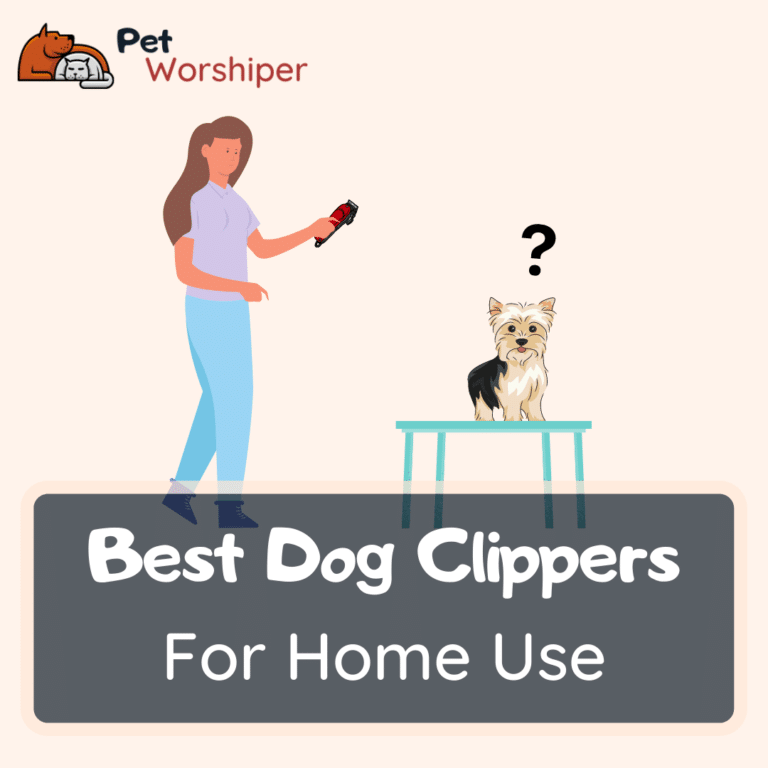best dog clippers for home use