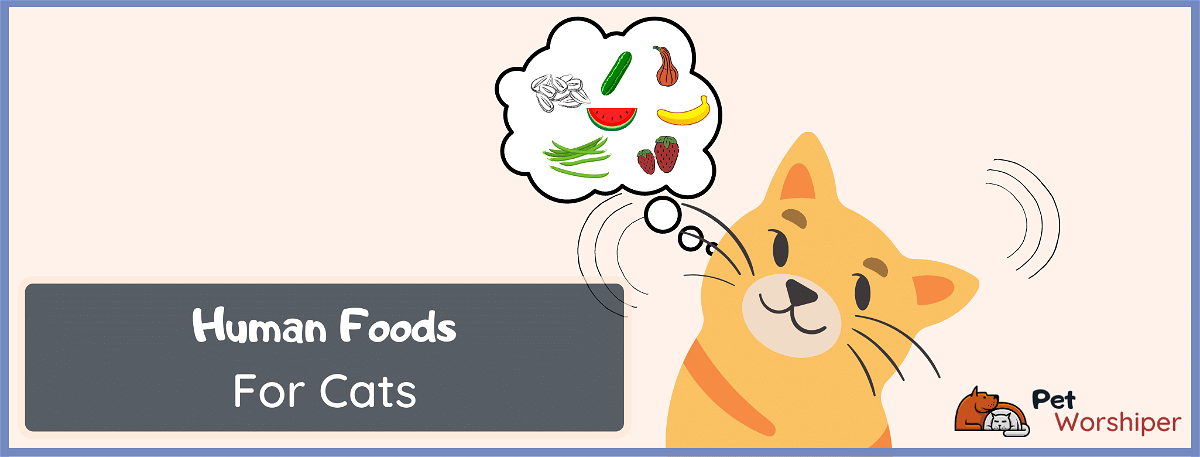human foods for cats