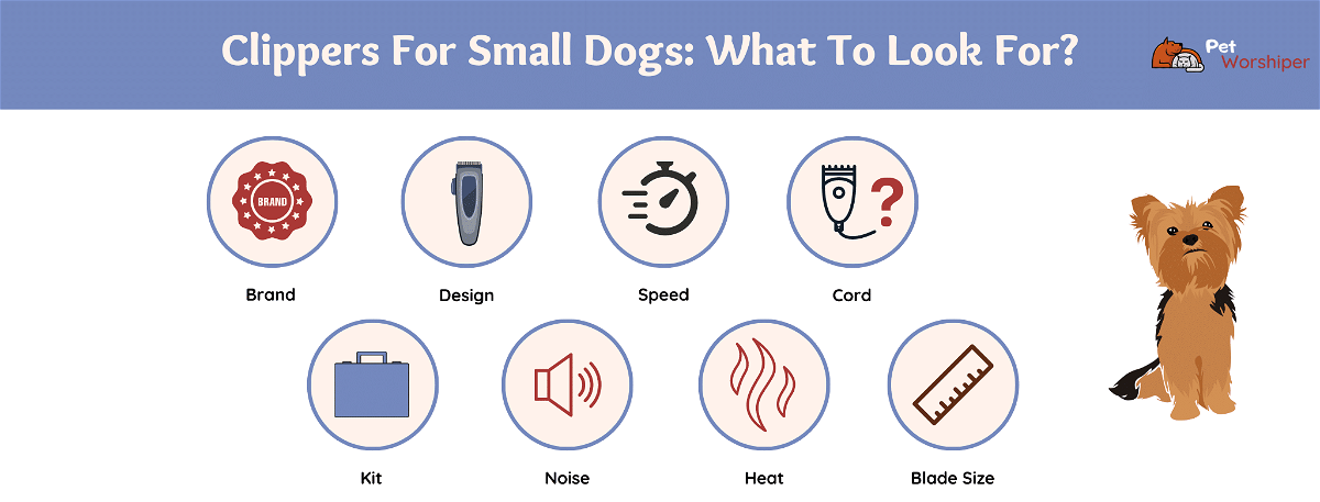 what to look for when choosing dog clipper for small dogs