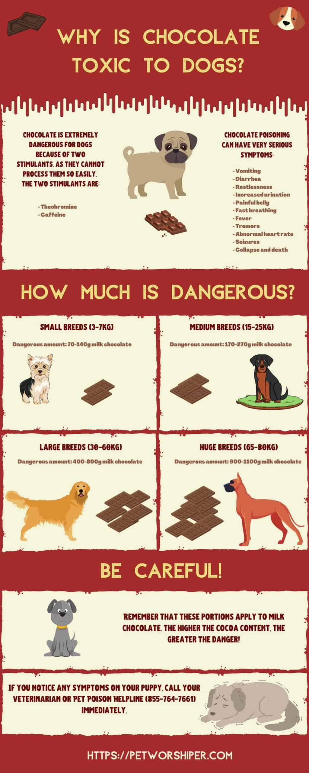 What To Do If Your Dog Eats Chocolate Useful Tips To Help Your Dog 