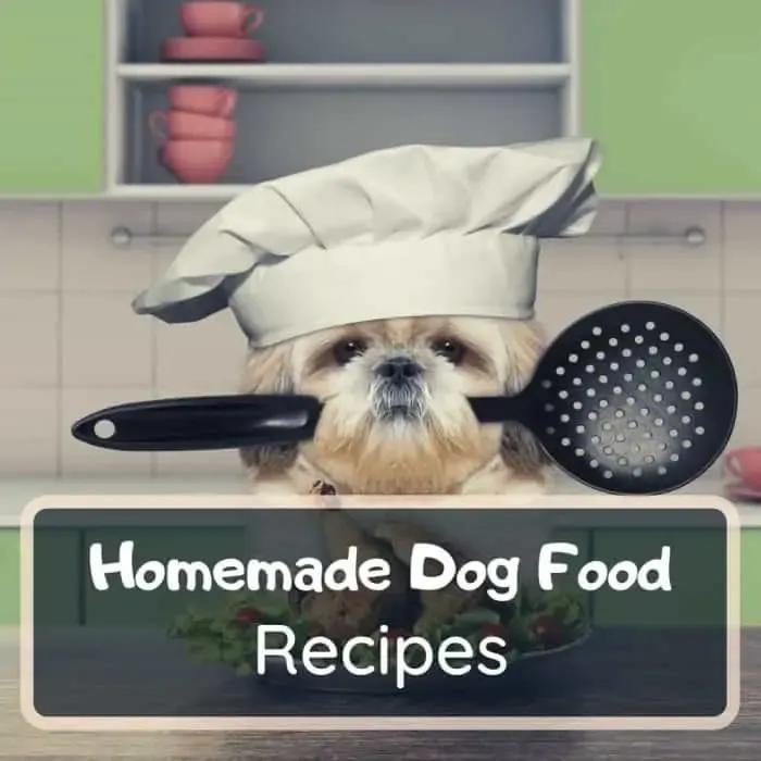 homemade dog food recipe