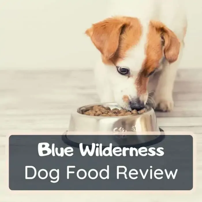 blue wilderness dog food reviews
