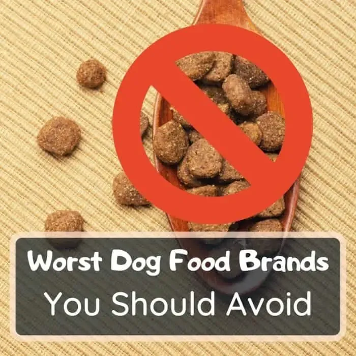worst dog food brands
