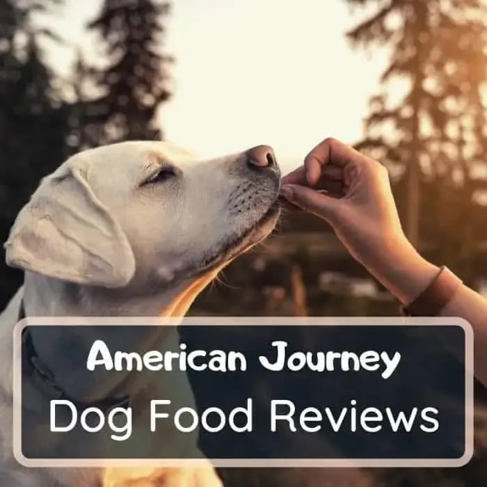 american journey dog food reviews