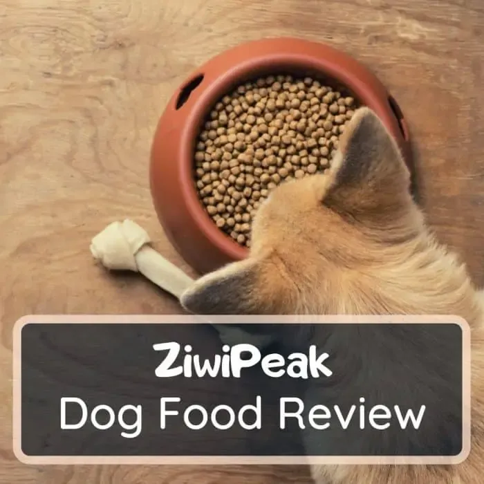 ziwi peak dog food reviews