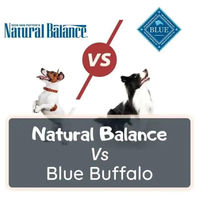 natural balance vs blue buffalo