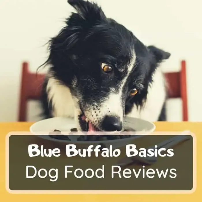 Blue Basics Dog Food Review