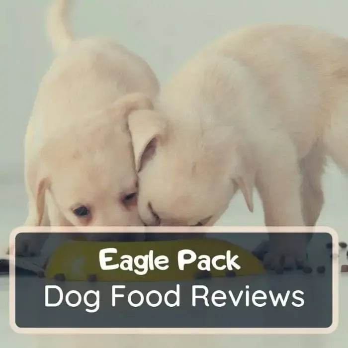 eagle pack dog food review