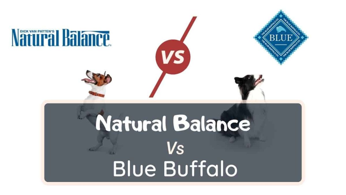 Natural Balance Dog Food Vs Blue Buffalo Natural Balance Vs Blue Buffalo: The Best Choice In 2022