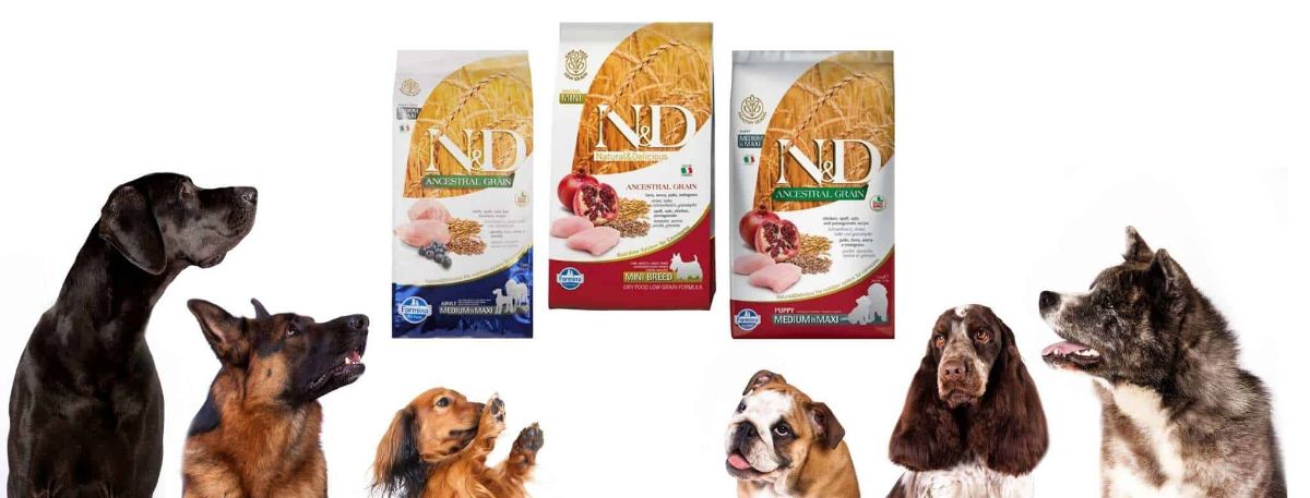 Farmina Dog Food Reviews And Recalls 2022 - Best Products