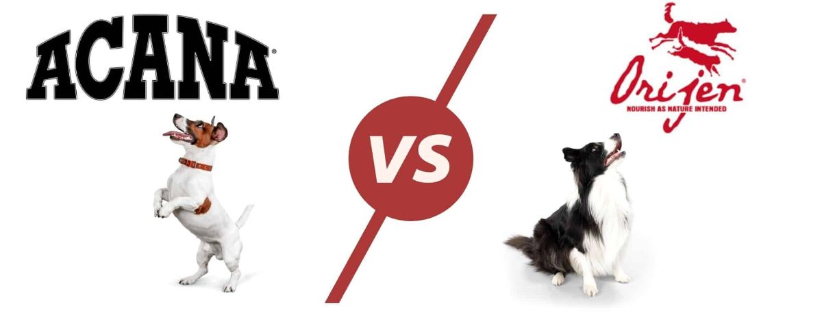 acana vs orijen dog food whats the difference