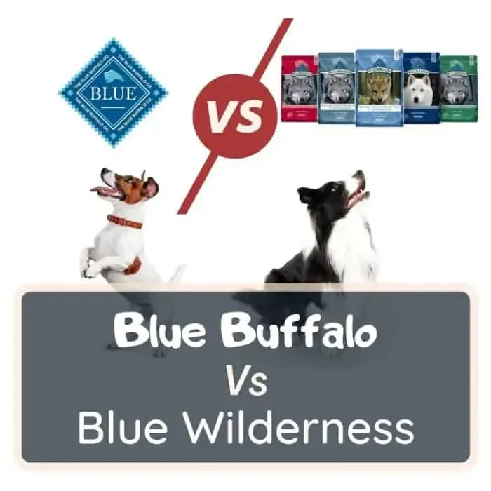 blue buffalo vs blue wilderness