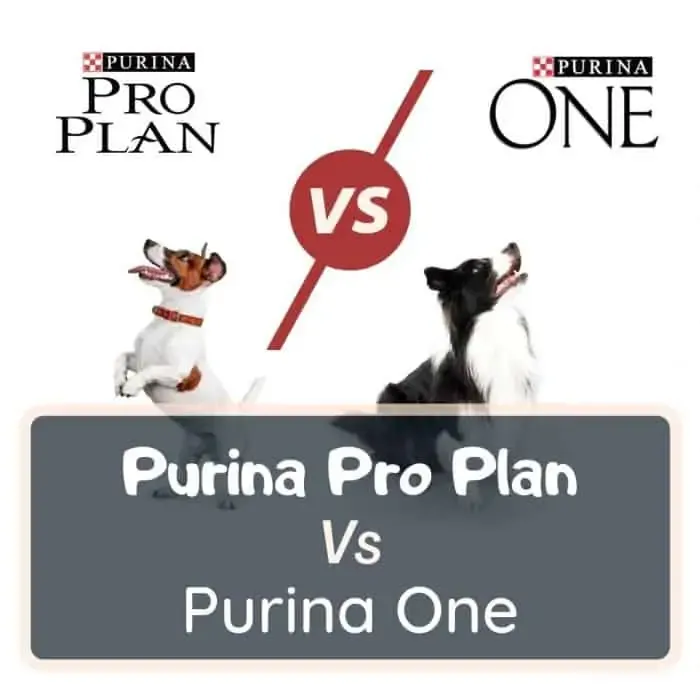 purina pro plan vs purina one