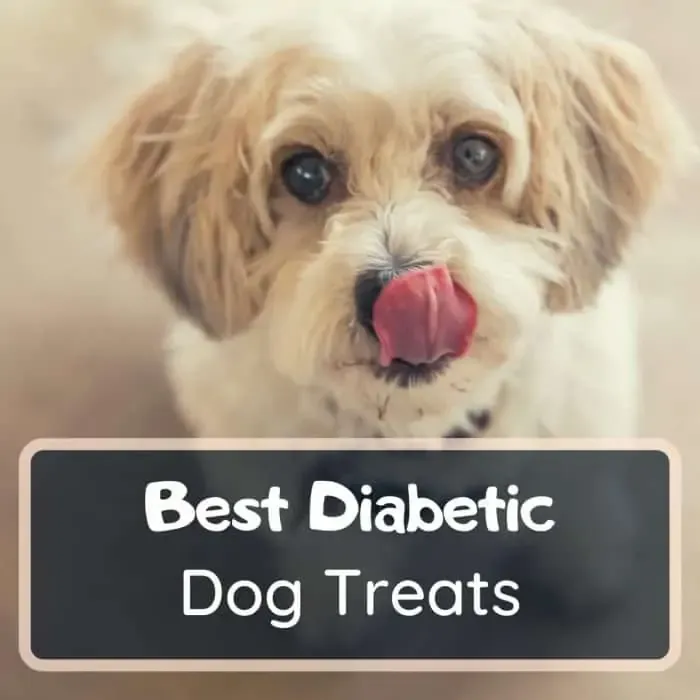 Best diabetic dog treats