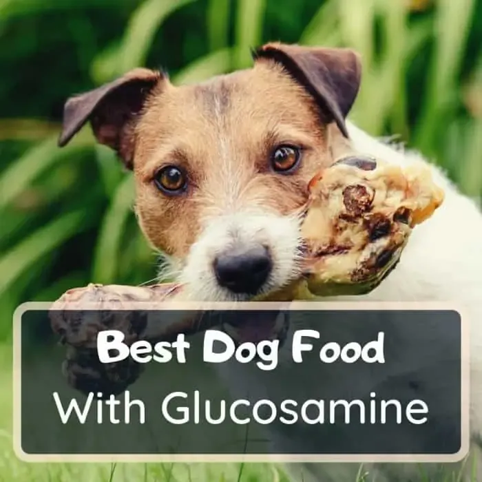 Best dog food with glucosamine and chondroitin