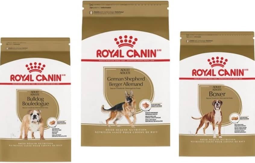 Royal Canin Vs Science Diet Dog Food Comparison [2022]