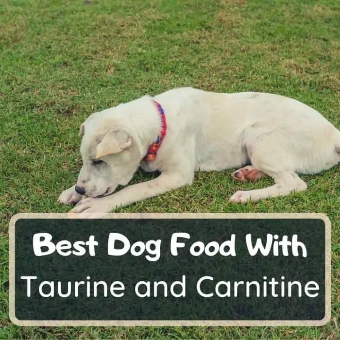 best dog foods with taurine and carnitine