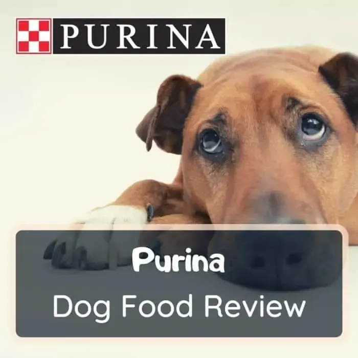 Purina Dog Food Review
