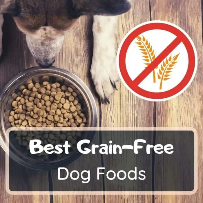 Best grain-free dog food