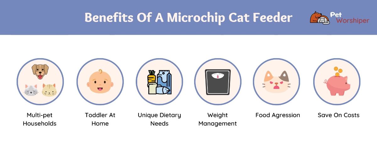 benefits of a microchip cat feeder