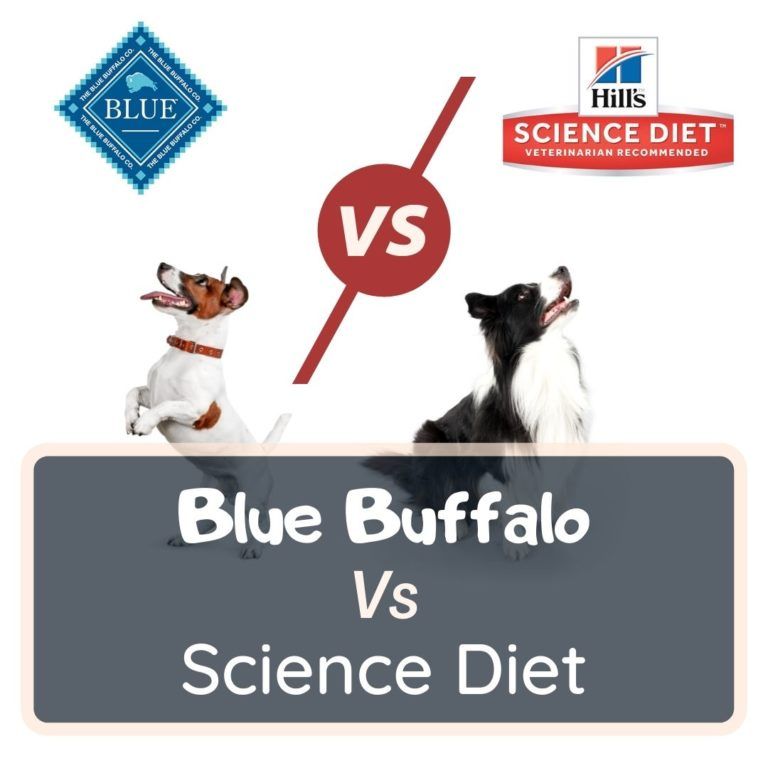 blue buffalo vs science diet