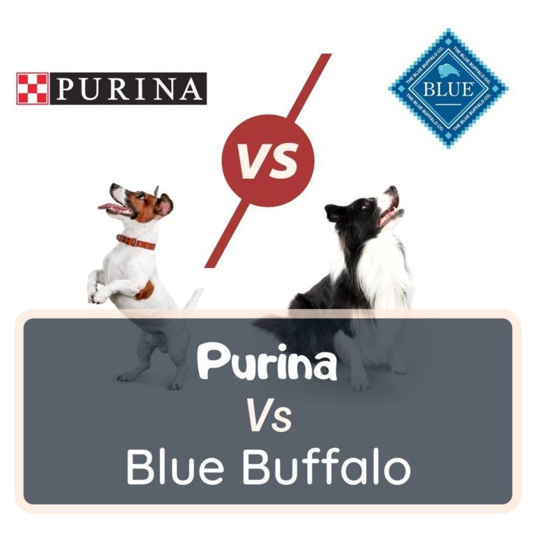 purina vs blue buffalo