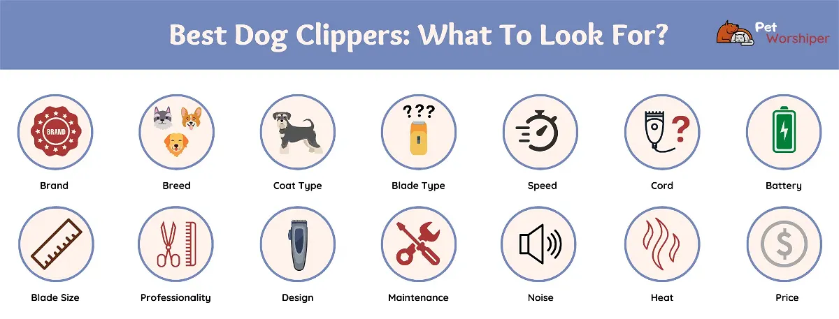 Best dog clippers what to look for