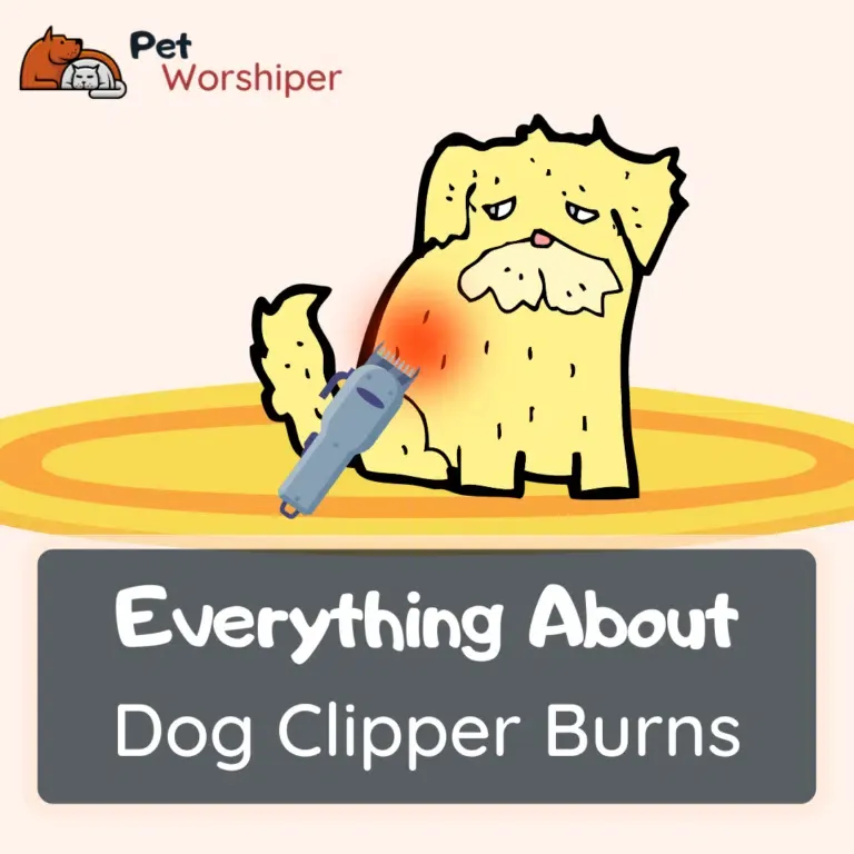 dog clipper burns