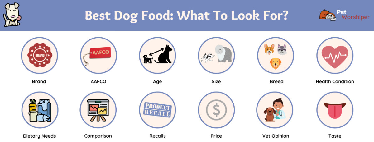best dog food what to look for