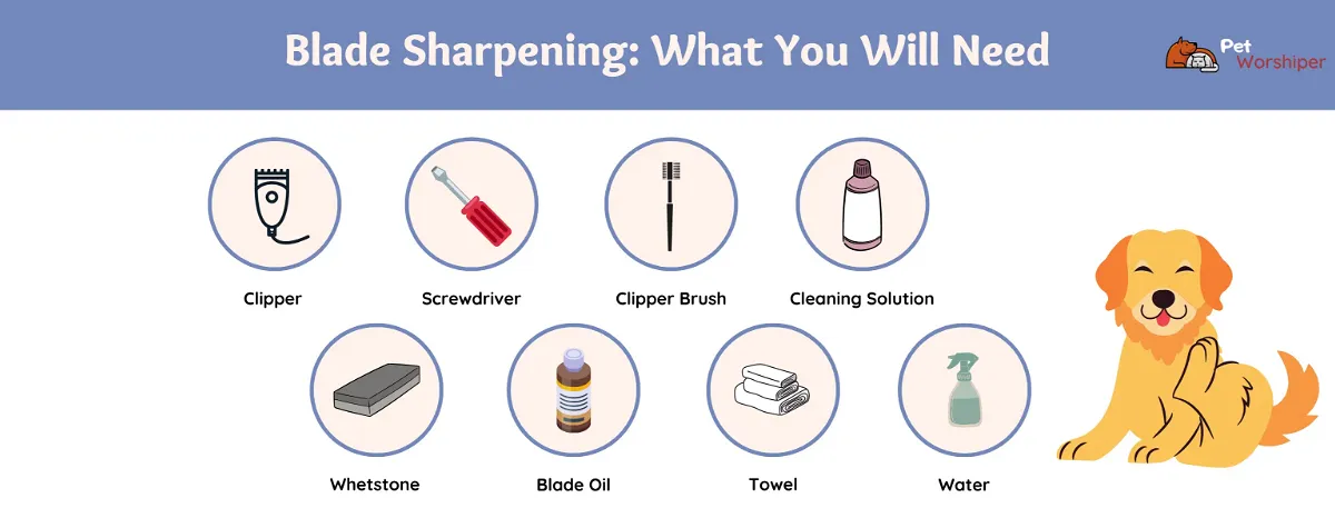 dog clipper blade sharpening what you will need