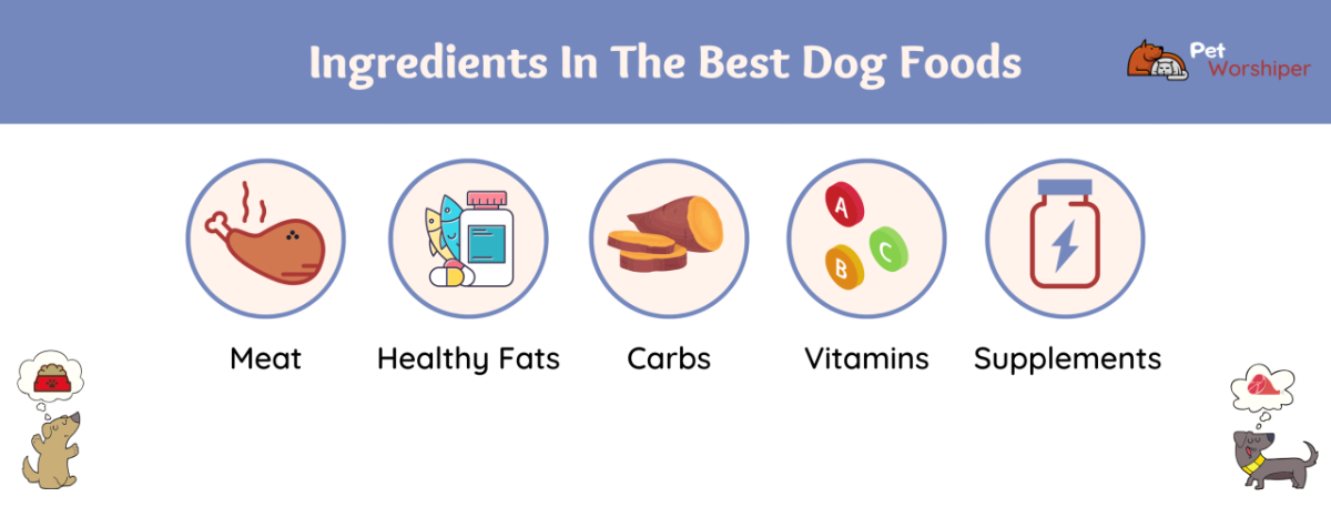 ingredients in the best dog food